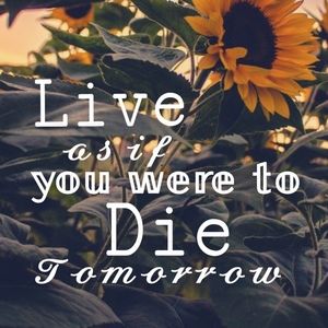 Meet your Posher, Skyler